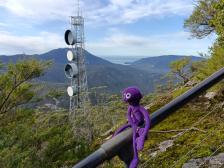 Die Antennen sehen aus wie große Trommeln