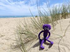 Windig an der Bass Meeresenge. Zum Gl&uuml;ck wird der Stand patrouilliert von Surf Lifesavers auf der anderen Seite des Bildes, wo die Menschen sind