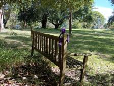 Eine b&auml;uerliche Ansiedlung mit einer alten Eichel. Und vom Haus aus sieht man das Meer nicht - die hatten andere Priorit&auml;ten damals