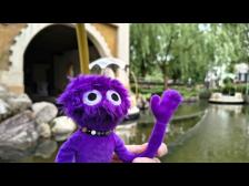 Jungs! Lust auf eine Fahrt Käpt'ns Törn?