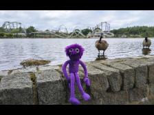 Kanadagänse vorne, Big Loop hinten!