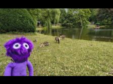 Und Nachwuchs gibt es auch!